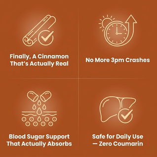 Ceylon Cinnamon Softgels 12:1 — Blood Sugar & Energy Support